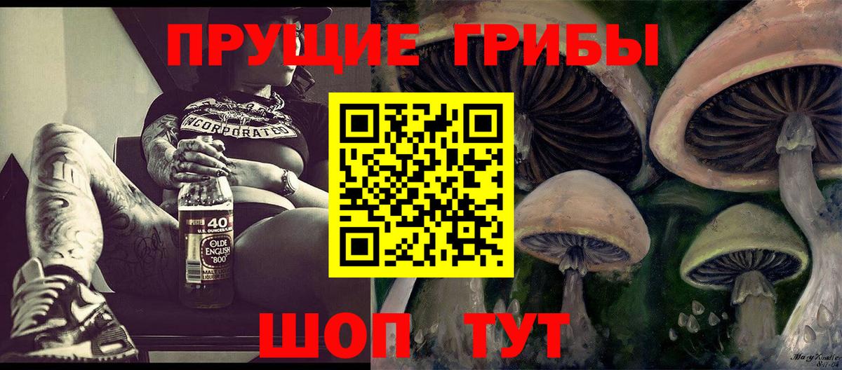 Энгельс  наркотики  Вход с VPN  Псилоцибиновые грибы ЛСД 