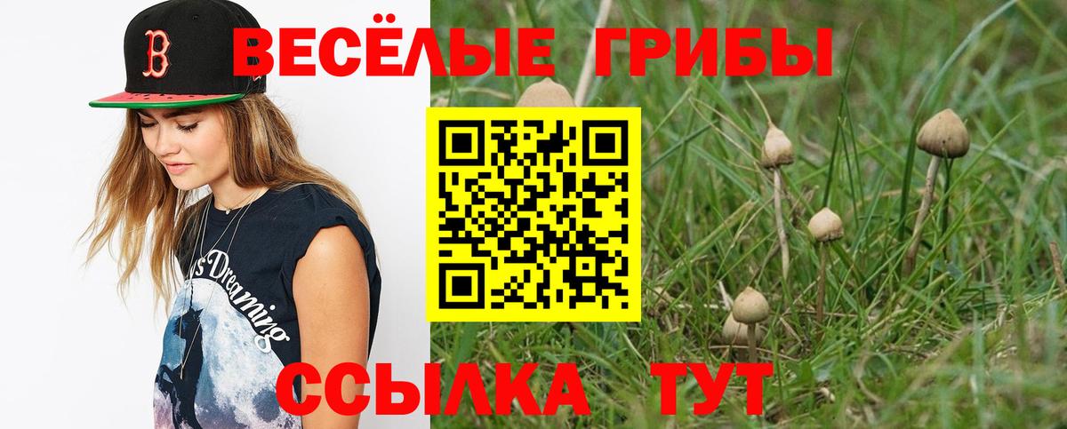 Галлюциногенные грибы мухоморы Энгельс